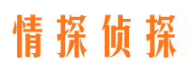 射洪市私家侦探